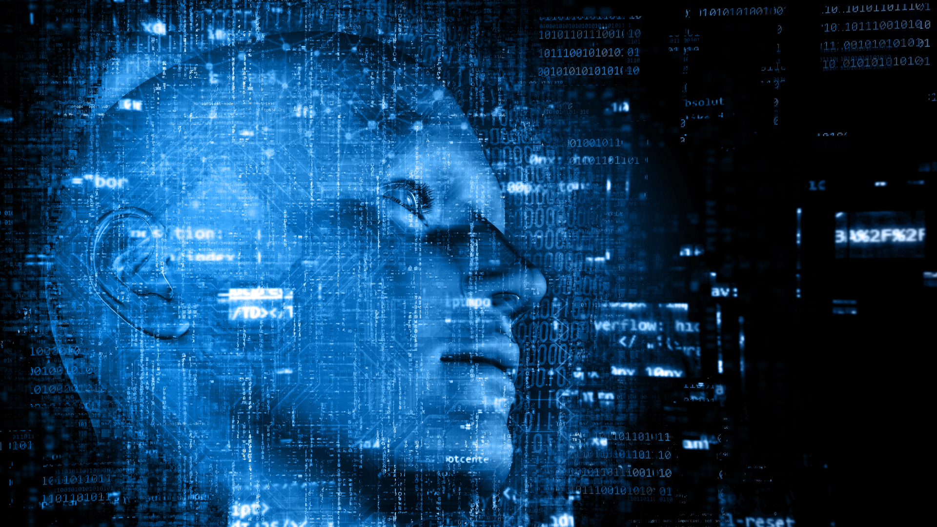 Da dove prende le informazioni l’Intelligenza Artificiale?